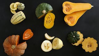 Winter Squashes to Brighten Up ColdWeather Meals Kitchen Conundrums with Thomas Joseph [upl. by Ileek]