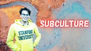 Subculture  Culture  Sociology Lectures  Lectures by Waqas Aziz  Waqas Aziz [upl. by Lars]