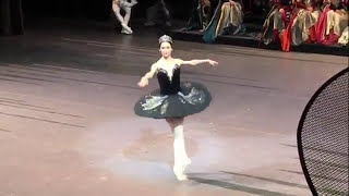 SwanlakeBolshoi TheatreZakharovaRodkinЛебединое озероБольшой ТеатрЗахароваРодькин [upl. by Dnomhcir]