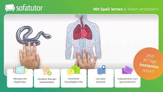 Zentrales und peripheres Nervensystem – Definition amp Funktion [upl. by Acul]