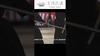 薙刀術の人物 japanesemartialarts kobujutsu naginata [upl. by Siva]