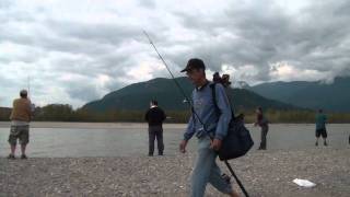 Sockeye Salmon fishing Fraser River [upl. by Ientruoc]