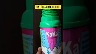 Kaka  The Best Organic Insecticide and Biostimulant for Plants shortvideo shorts [upl. by Thorlay333]