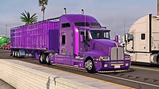 KENWORTH T600 CUSTOM CABIN 86quot [upl. by Elidad297]