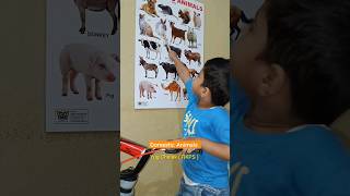 Domestic Animals learn  kidslearning kids youtube shorts animals live news facts science [upl. by Odrautse]