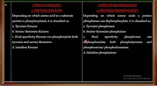 Differences between kinases and phosphatases [upl. by Myra]