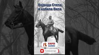 Војвода Степа и кобила Вила history [upl. by Ranna79]