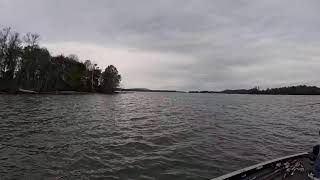 Live Lake Guntersville Bass fishing Nov 13 2024 [upl. by Popelka282]