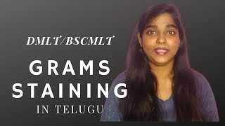 Grams staining in telugu  dmlt  bscmlt course in telugu  mlt healthy vlogs [upl. by Lira968]