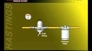 FilterSavvy  Hastings Filters  Fuel Filters 4 [upl. by Kim]