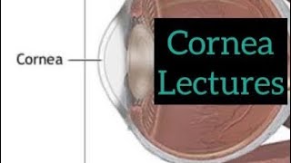 Cornea lectures part 8 Eye  ophthalmology lectures eyelectures opthalmology eye cornea [upl. by Asseralc]