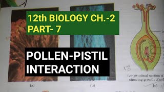 Class 12 biology chapter2 Part7 Pollenpistil interaction Study with Farru [upl. by Hermine917]