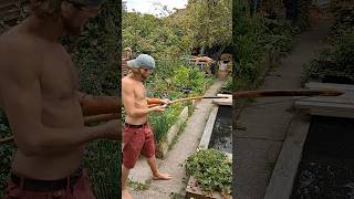 Maiden archery bow maiden nature woodworking wood shooting hunting longbow diy bowhunting [upl. by Ennasor]