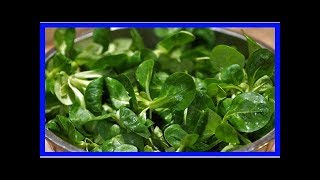 Feldsalat Rezepte 3 Varianten für den gesunden Salat [upl. by Erica]