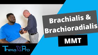 Manual Muscle Test  Brachialis and Brachioradialis [upl. by Barkley924]