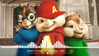 Lingo lingo şişeler OZK REMIX version chipmunks [upl. by Atiral]