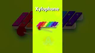 Xylophone English Vocabulary Musical Instruments shorts [upl. by Putscher]