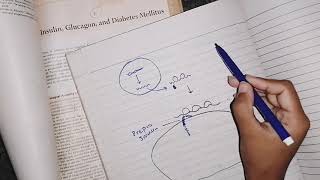 Insulin and Glucagon part 1 guyton79 endocrinephysiology physiology [upl. by Sheeree]