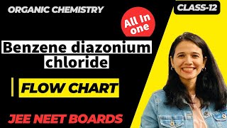 Benzene diazonium chloride Flow Chart class 12th Organic chemistry [upl. by Zane318]