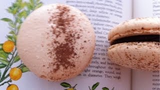 Chocolate Orange Macaron Recipe by Ann Reardon  How To Cook That Ep041 [upl. by Yaras]