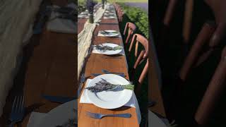 Dining Al Fresco in the Blooming Lavender Fields fyp lavender lavenderfields iowa flowerfarming [upl. by Nevur141]