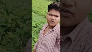 Ram dulera funny videos ll funnyvideo ramdularviral madhyapradesh [upl. by Lyrrad]