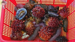 street food asmr food fish cutting korean food asian seafood korea sashimi making video 060722 3 [upl. by Jeffcott619]