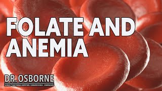 Folate and Anemia [upl. by Wagner]