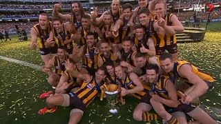 AFL 2014 Grand Final  Hawthorn highlights vs Sydney [upl. by Migeon915]