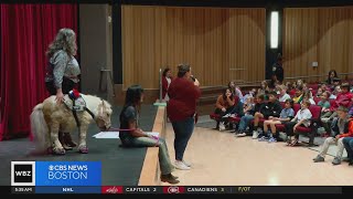 quotJust say whoaquot Popular mini horse teaches Wakefield students about dangers of bullying [upl. by Werdn]