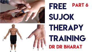 sujok therapy free training  sujok therapy for face and head problems  DR BHARAT  part 6 [upl. by Nnylimaj922]