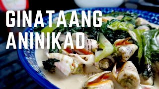 How to Cook Ginataang Aninikad  Sea Shell in Coconut Milk [upl. by Garnett]