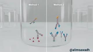 Enzymelinked immunoassay ELISA [upl. by Namyw911]