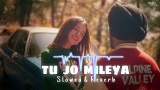 tu Jo milya aen song 🔥 SLOWED REVERB [upl. by Ahsinrats]