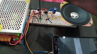 Subwoofer Amplifier Circuit using IC TDA2030 [upl. by Hairej]