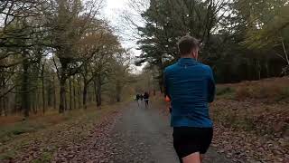 Wyre Forest parkrun 26th November 2022 [upl. by Mersey]