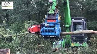 Groeneveldt LumberJack 450 Grapple with Hydraulic Chainsaw  Tree Felling [upl. by Messing]