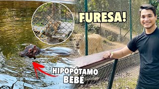 Visitamos el ZOOLÓGICO más EXCLUSIVO de EL SALVADOR 🐯🇸🇻 FURESA [upl. by Trebbor375]