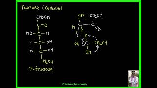 2 MutarotationAnomerFructoseFructosideEpimer [upl. by Erlin]