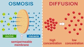 Osmosis and tonicityphysiology [upl. by Zehe]