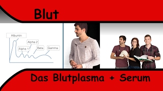 Blutplasma  Serumelektrophorese 2016 [upl. by Hayalat]