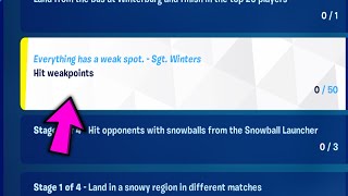 Hit weakpoints  Fortnite Winterfest Quests [upl. by Sewell]