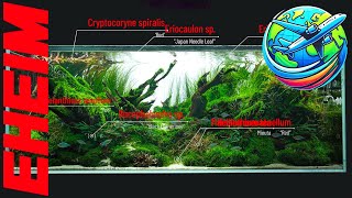 Eheim Aquascaping Tour  Aquascaping ideas from Vienna [upl. by Sivrup]