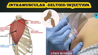 intramuscular deltoid injection full details in hindiprocedure  material amp precautions [upl. by Laehpar]