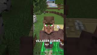 Get The BEST Villager Trades Quickly minecraft mcpe minecraftbedrock [upl. by Shermie802]