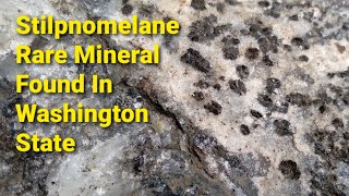 Stilpnomelane Rare Mineral Found In Washington State [upl. by Shirl]