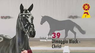 39 Dimaggio Black  Christ [upl. by Daren]