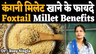 कंगनी मिलेट खाने के फायदे  फॉक्‍सटेल मिलेट  foxtail millet Benifits  foxtail millet ke fayde [upl. by Ymirej532]