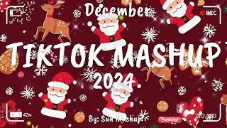 Tiktok Mashup December 🎅2024🎅 Not Clean [upl. by Maitland316]