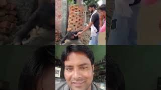 Ful comedy Hashim javid hashim javed funny [upl. by Lavella]